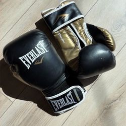 Everlast 16 Ounce Boxing Power Lock Gloves