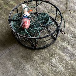 Crab Traps