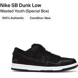 Nike SB Dunk Low Wasted Youth Size 8.5