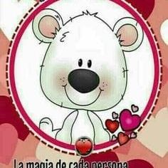 Mix Chihuahua/Poodlo