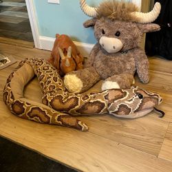 Free Good Condition Stuffed Animals 