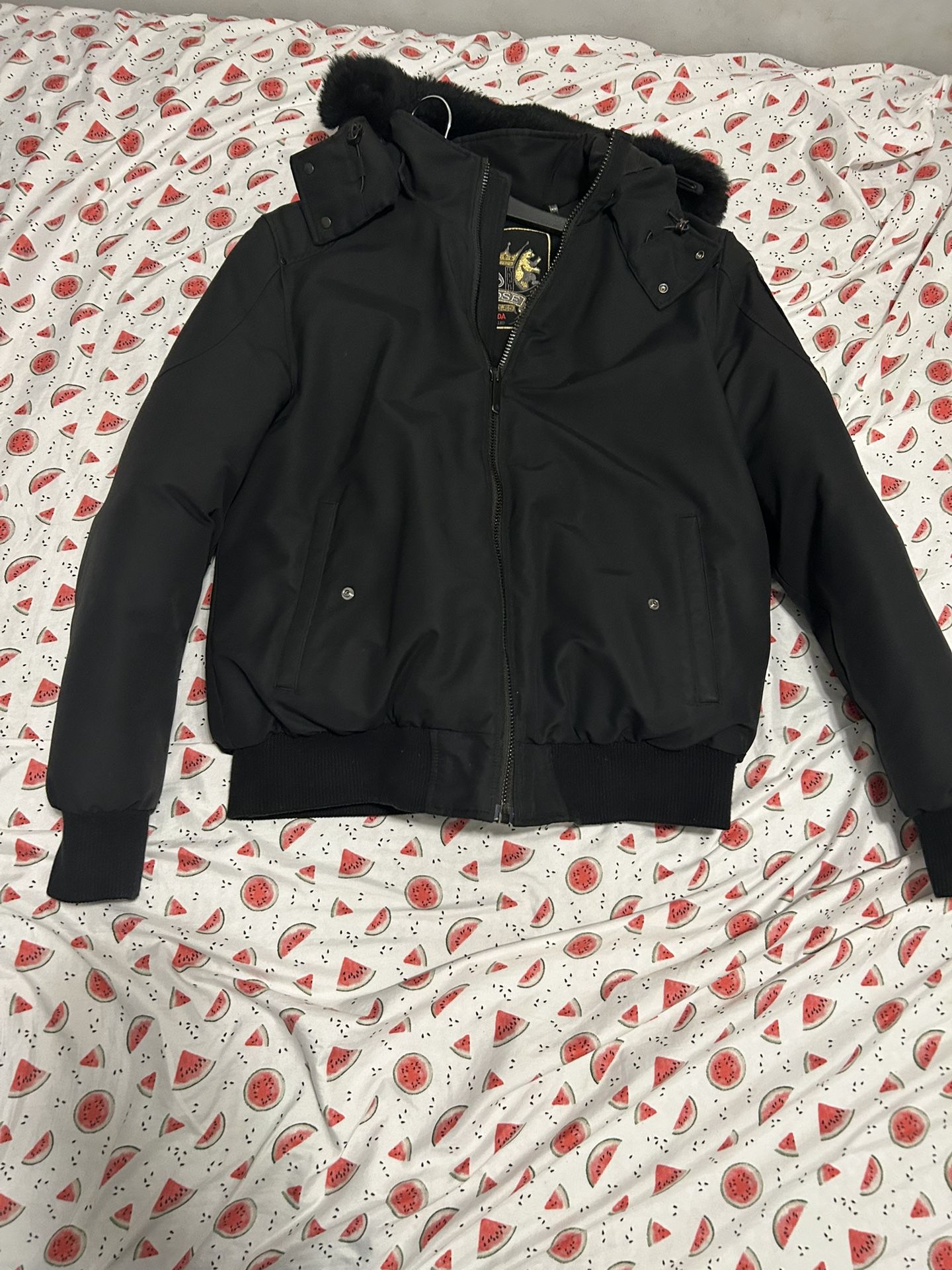 Moose Knuckles Coat