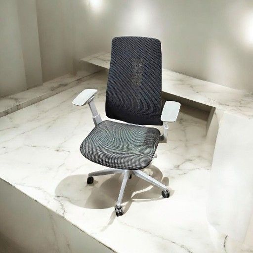 Haworth Fern Ergo Chair