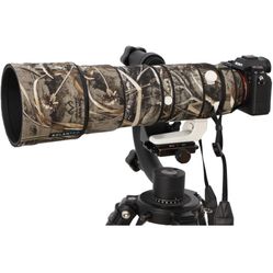 Sony G 200-600 mm lens and lens accessories only.