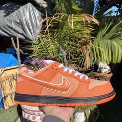 Nike SB Orange Lobster