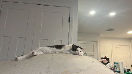 Free queen size bed
