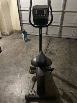 workout