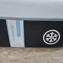 King Sizes Mattress And Box Spring 