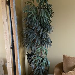 Artificial plants With Containers