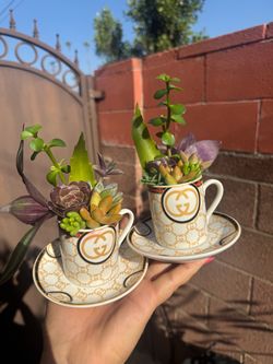 Beautiful Arrangement