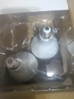 2 bulbs