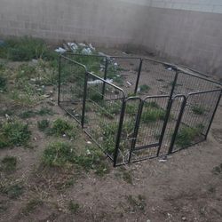Outdoor dog kennel