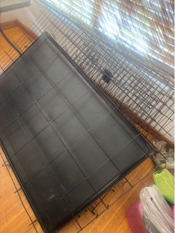 Big Dog cage