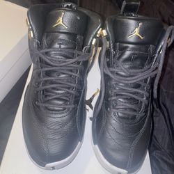 Air Jordan 12 Retro Black Reptile