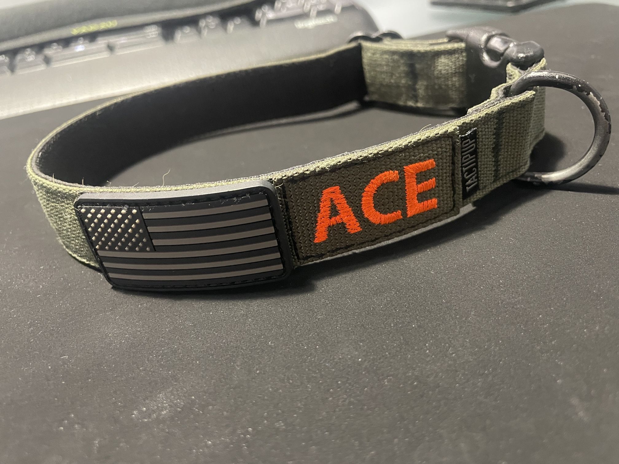 Dog Collar