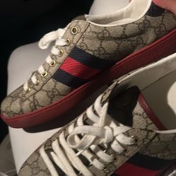 BRAND NEW GUCCI SHOES JUSTNDOT HABE BOX
