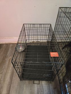 Medium Sized Kennel