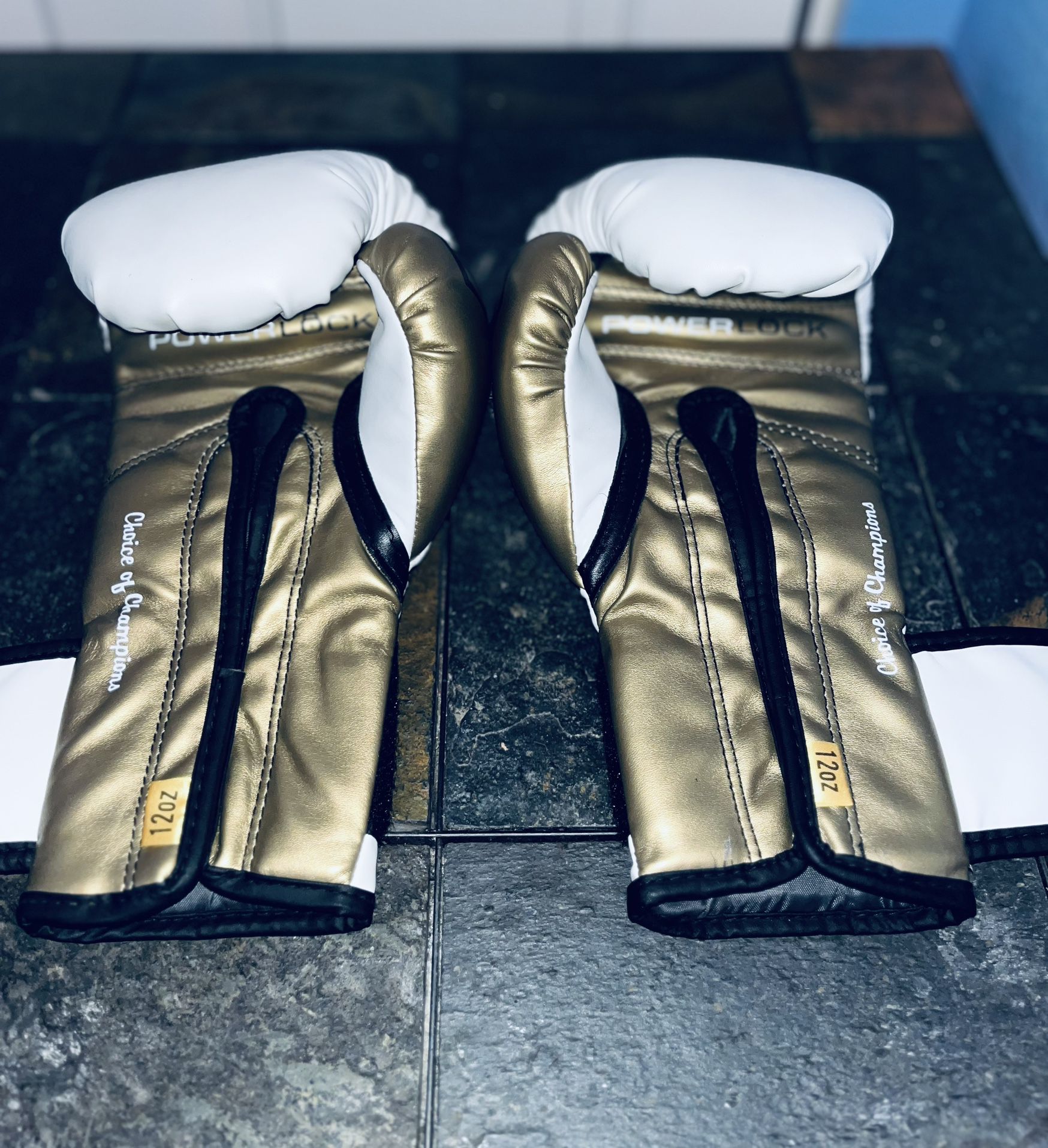12 OZ Boxing Gloves 