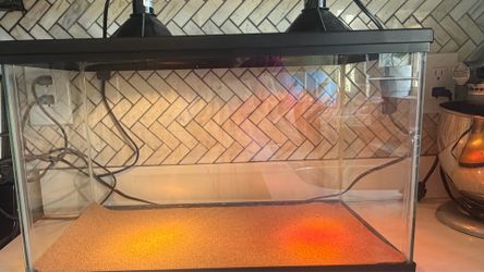 dessert reptile  cage