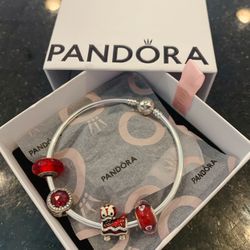 Brand New Pandora Charms And Bracelet 