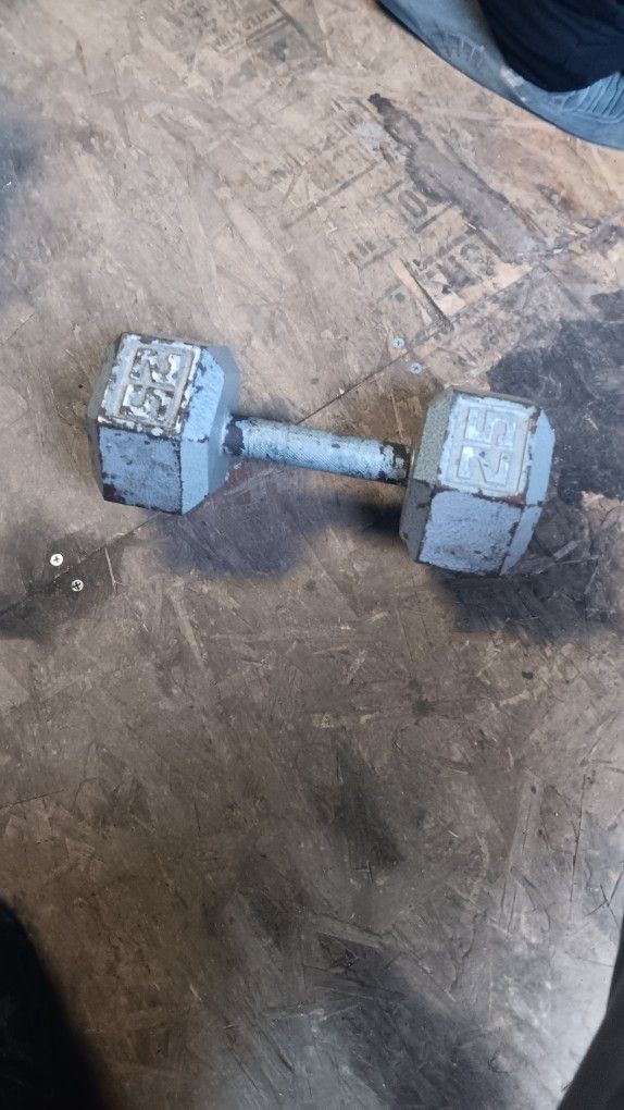 25lb Dumbbell