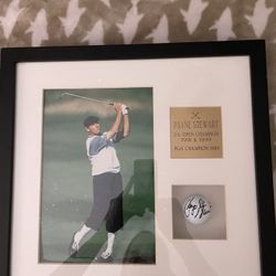 Shadow Box - Payne Stewart 