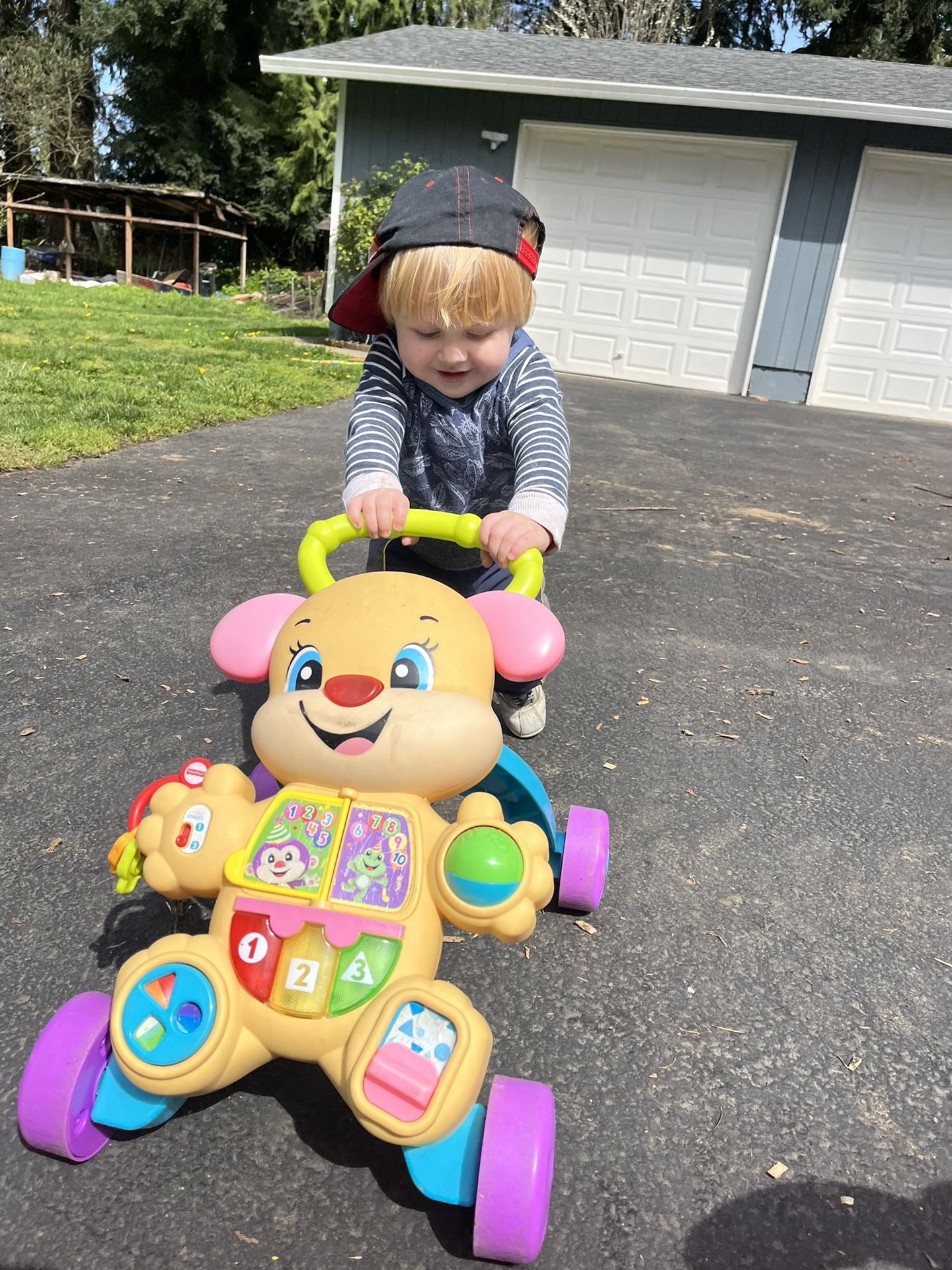Baby Walker