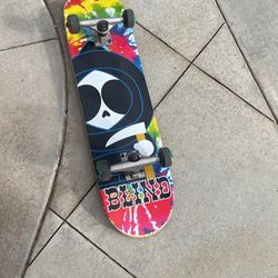 Skate Board