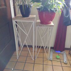 Plant stands 