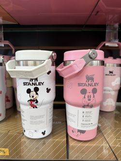 Mickey Mouse Stanleys