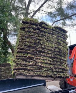 Pallets Of St Augustine Grass For Sale