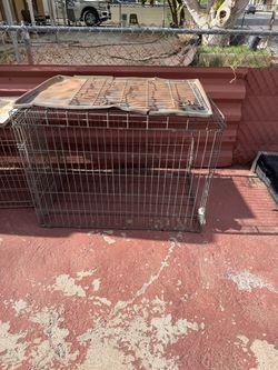 Large Dog kennel