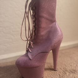 Pleasers Pole Heels Boots 