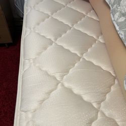 Twin Mattress, Box Spring And Frame