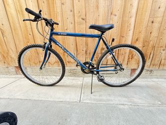 Male and female bikes