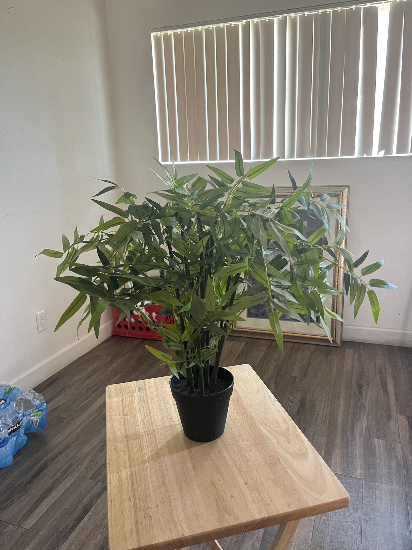 fake plants