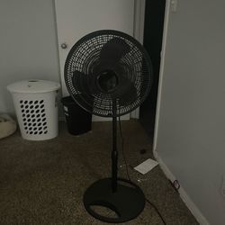 Fan