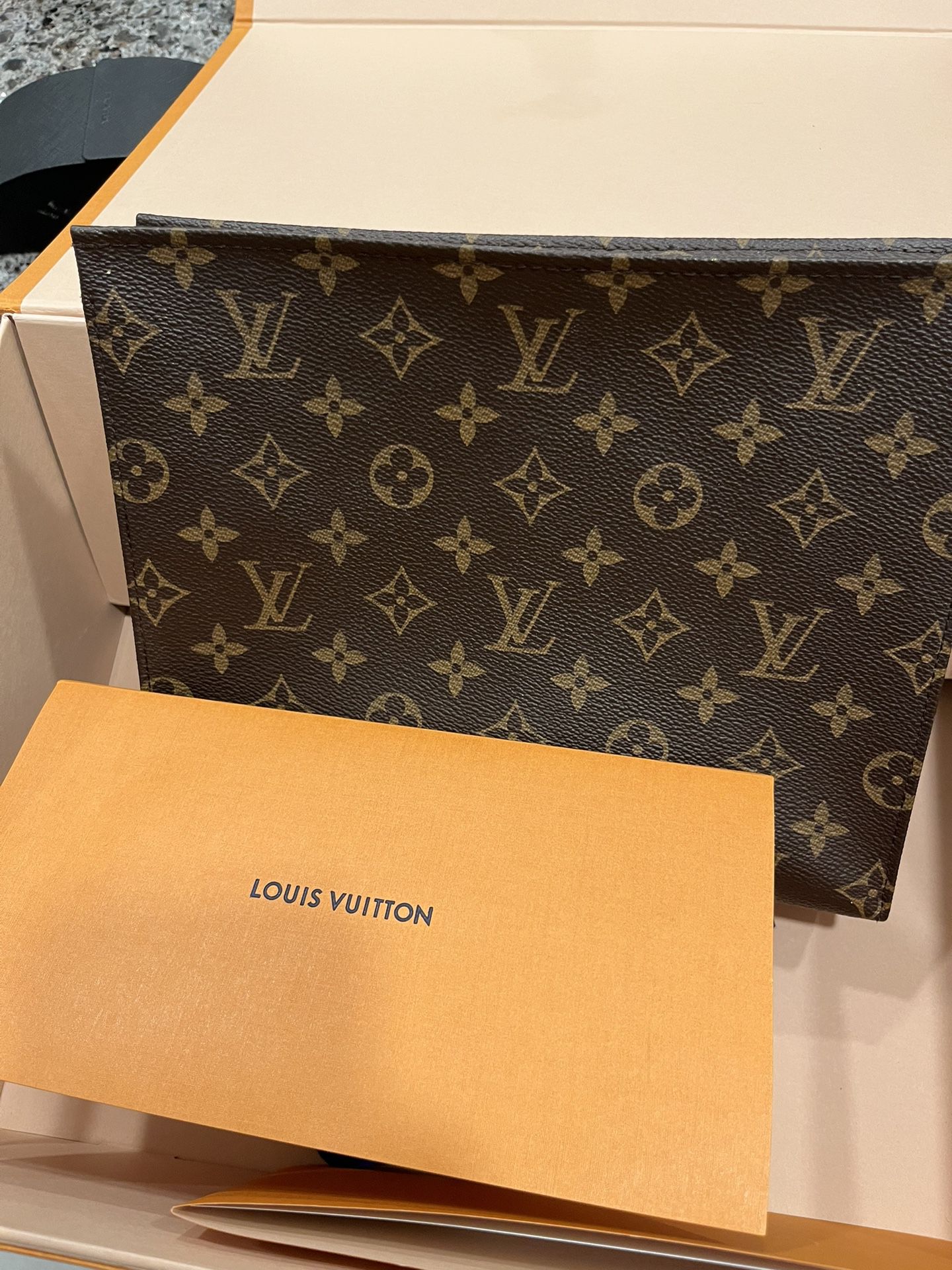 Louis Vuitton  bag