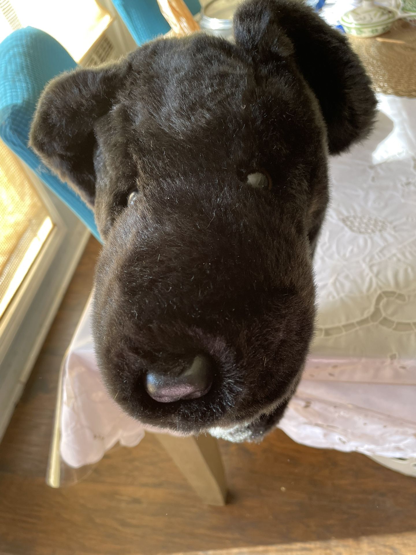 - [ ] Daphne's Headcovers Black Lab Dog Golf Club Headcover W/tag