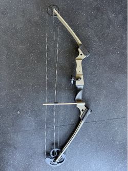Genesis Archery bow ￼