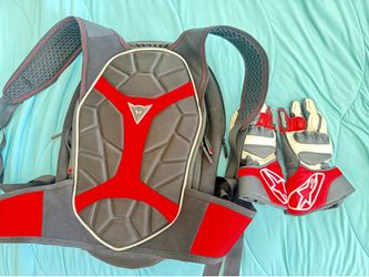 Dainese backpack and Alpinestars gloves