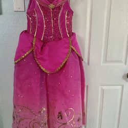 Disney Aurora Dress New