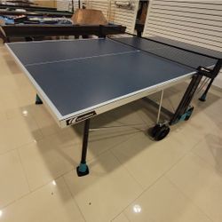 Pong Pong Table