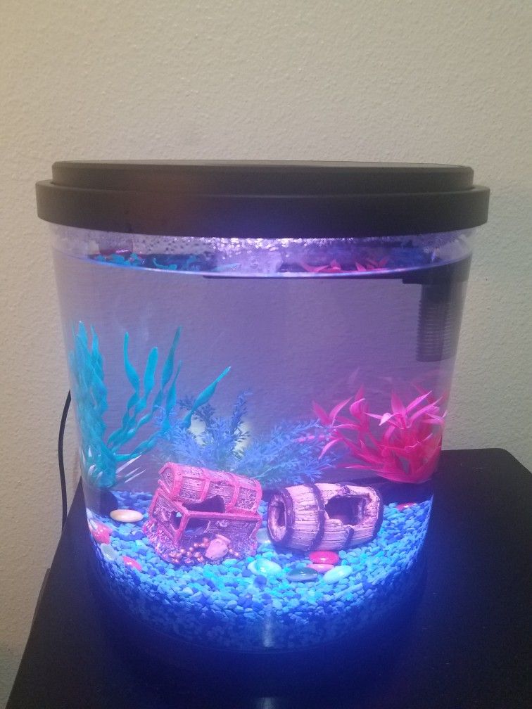 3.5 Gallon Fish Tank Aquarium With Accessories