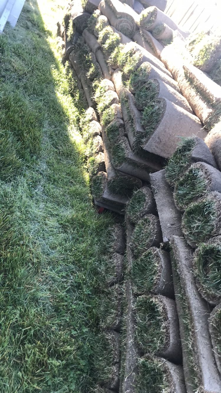 Fresh Sod 