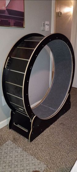 Cat exercise wheel