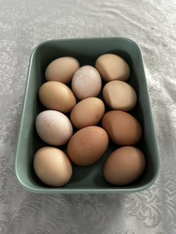 Eggs