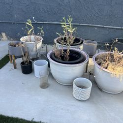 Flower / plant Pots