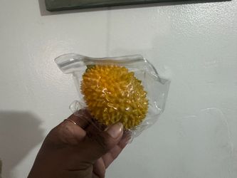 Crunchy durian squishy