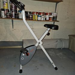Foldable Magnetic Exercise X-Bike